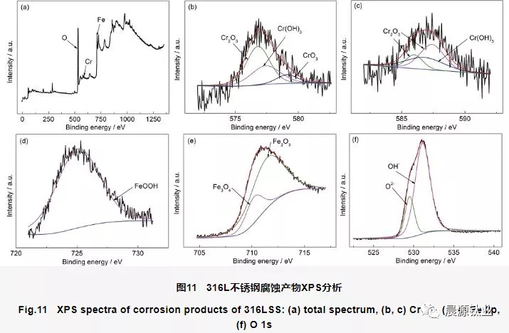 316L不銹鋼表面腐蝕產(chǎn)物的XPS圖譜