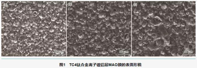 TC4鈦合金離子鍍鋁后MAO膜的表面形貌