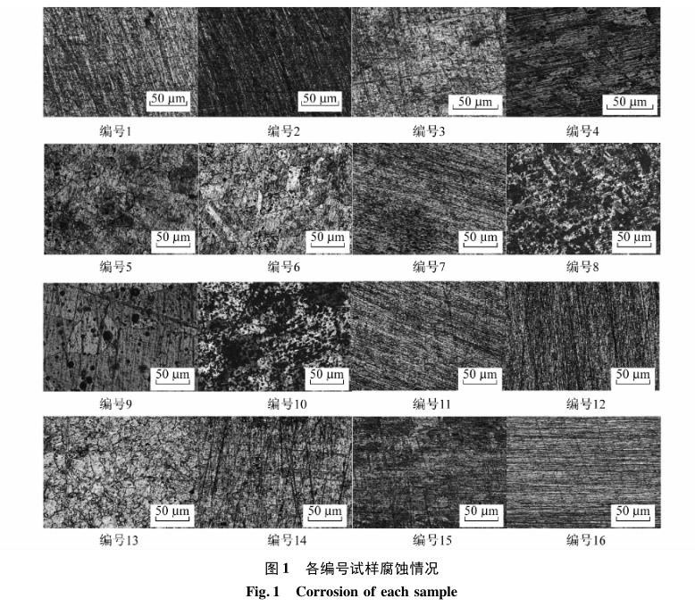 各編號試樣腐蝕情況