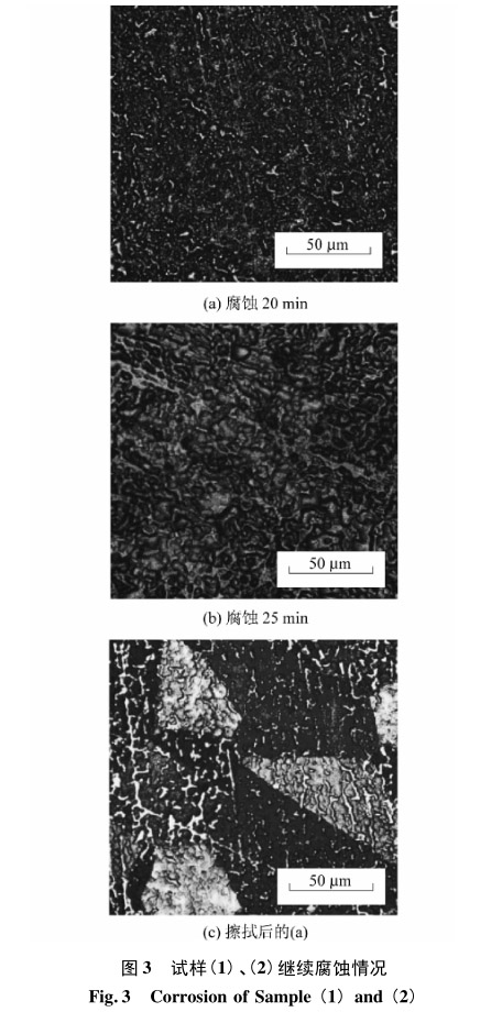 試樣(1)、(2)繼續(xù)腐蝕情況