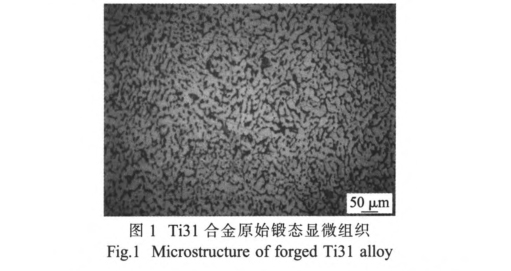 Ti31合金原始鍛態(tài)顯微組織